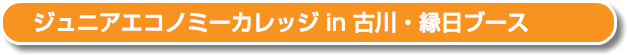 ジュニアエコノミーカレッジ in 古川・縁日ブース