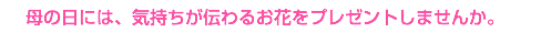 母の日には、気持ちが伝わるお花をプレゼントしませんか。