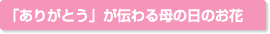「ありがとう」が伝わる母の日のお花
