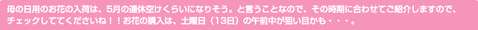母の日用のお花の入荷は、5月の連休空けくらいになりそう。と言うことなので、その時期に合わせてご紹介しますので、チェックしててくださいね！！お花の購入は、土曜日（13日）の午前中が狙い目かも・・・。