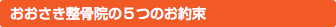 おおさき整骨院の５つのお約束