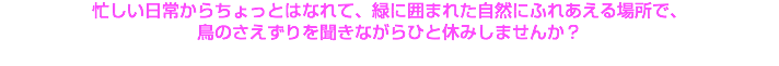 忙しい日常からちょっとはなれて、緑に囲まれた自然にふれあえる場所で、 鳥のさえずりを聞きながらひと休みしませんか？