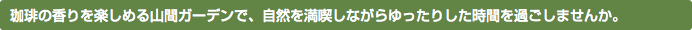 珈琲の香りを楽しめる山間ガーデンで、自然を満喫しながらゆったりした時間を過ごしませんか。