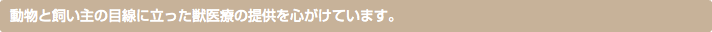 動物と飼い主の目線に立った獣医療の提供を心がけています。