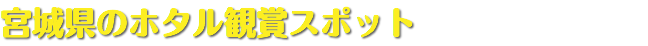 宮城県のホタル観賞スポット