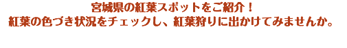 宮城県の紅葉スポットをご紹介！ 紅葉の色づき状況をチェックし、紅葉狩りに出かけてみませんか。