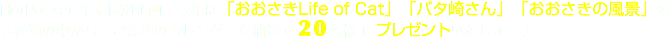 HotPocket 年末特別企画！今年は「おおさきLife of Cat」「パタ崎さん」「おおさきの風景」の３種類の中から、ご希望のカレンダーを抽選で 20名様 にプレゼントいたします♪