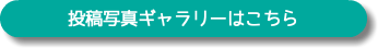 投稿写真ギャラリーはこちら